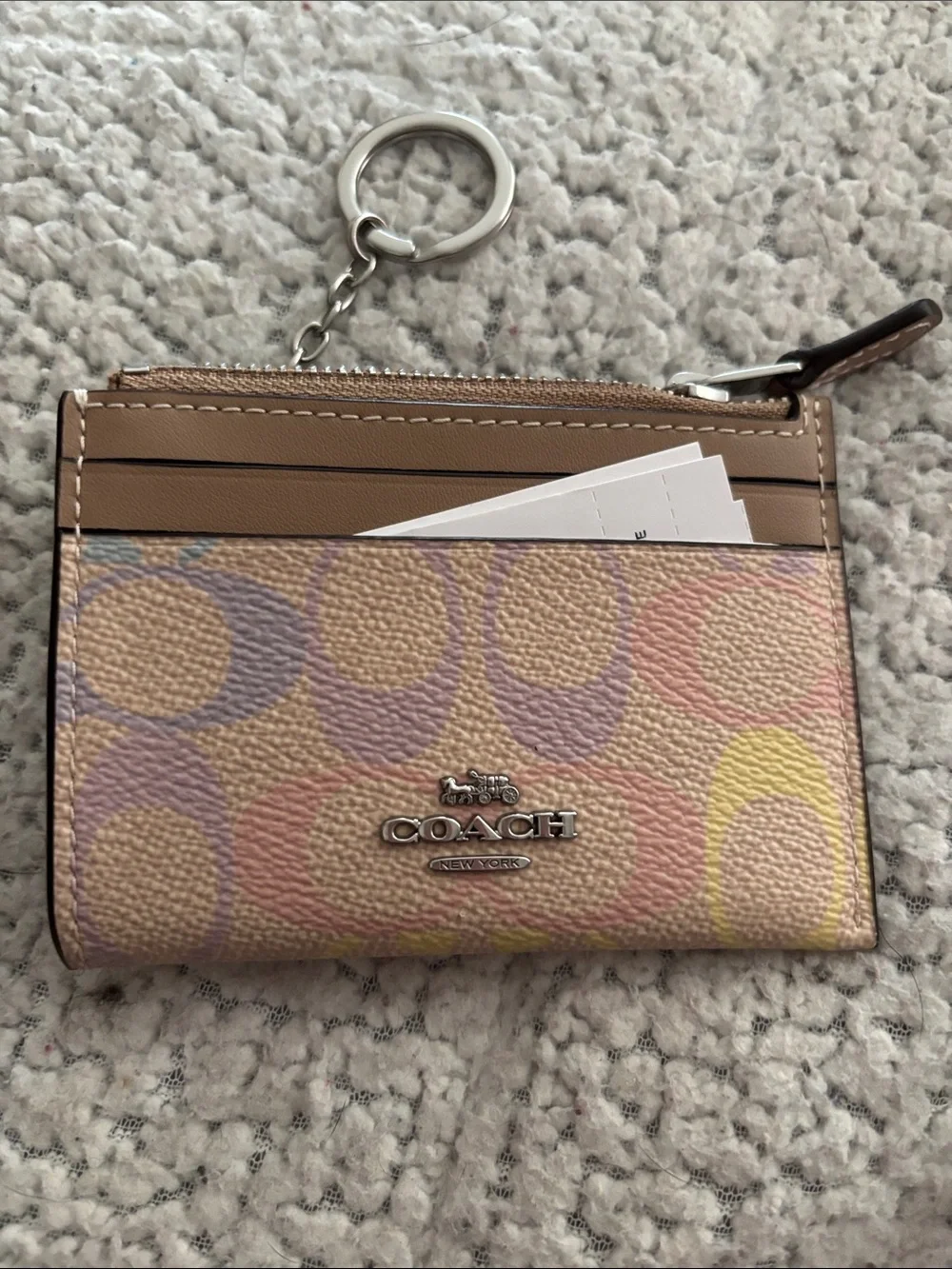 Coach Mini Skinny Id Case In pastel Rainbow Signature Canvas